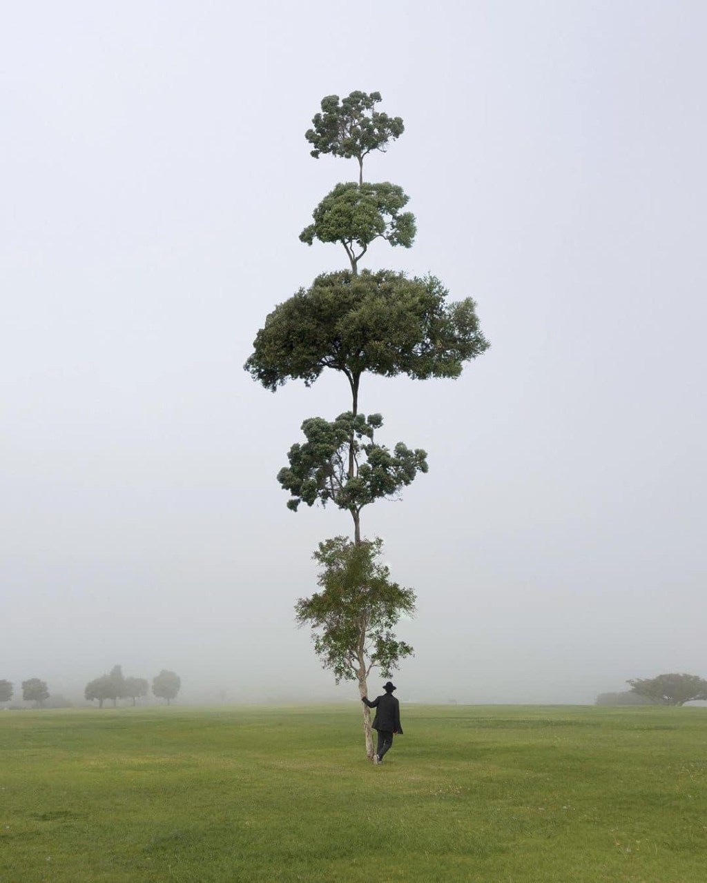 Hết khả năng&nbsp;!